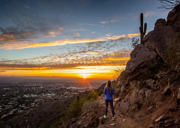 Camelback *
